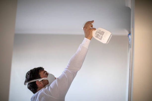 Best Mold Remediation for Specific Building Types in Bret Harte, CA