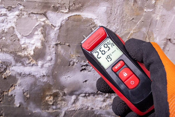 Best Bathroom Mold Remediation in Bret Harte, CA