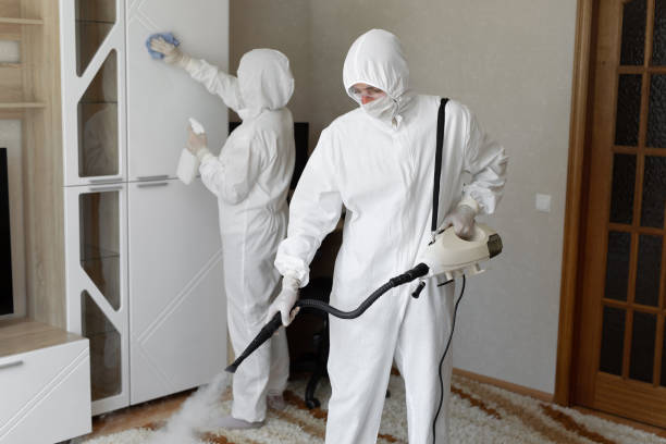 Best Industrial Mold Remediation in Bret Harte, CA